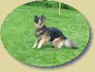 Lady ist sicher, dass der Ball hier landet  * 447 x 336 * (65KB)